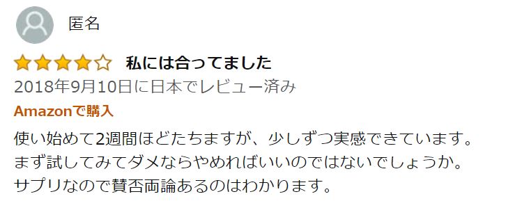 Amazonで★4のレビュー_私には合ってました